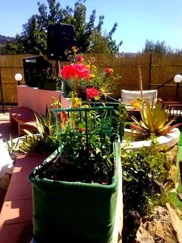 Tre Lune 维拉西米乌斯